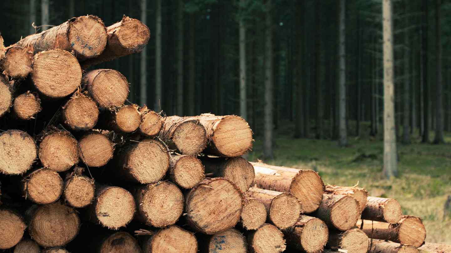 Puidumüüja meelespea I Combiforest
